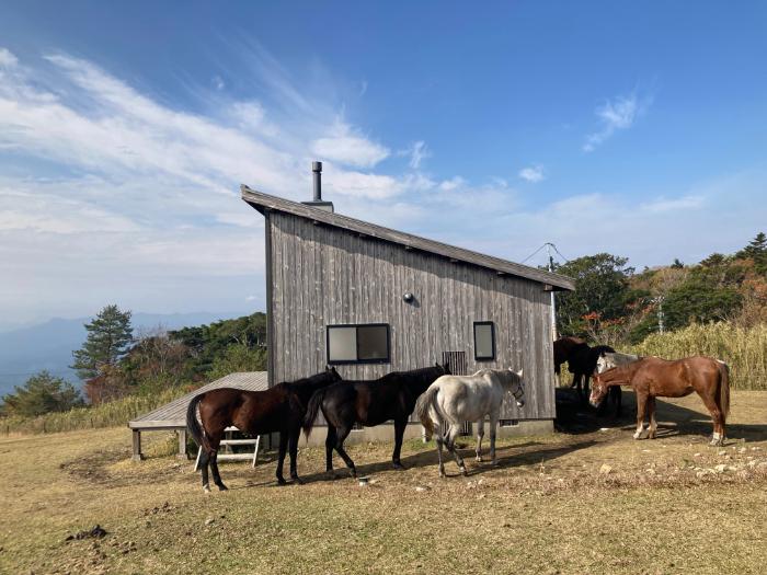Spending time with the Horses-6