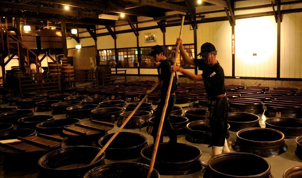 Shochu Tasting, Distillery Tour-1