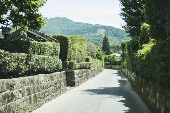 Chiran Samurai Residence Complex-0
