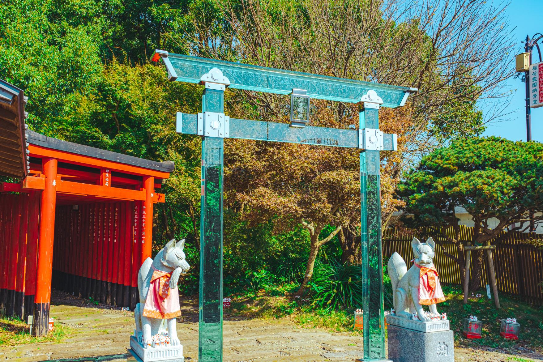 ©藤井音凛