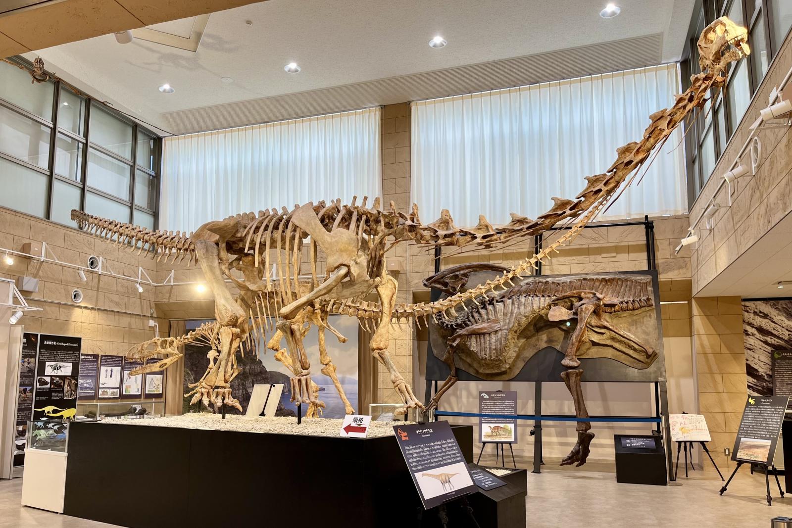 Koshiki Museum-1