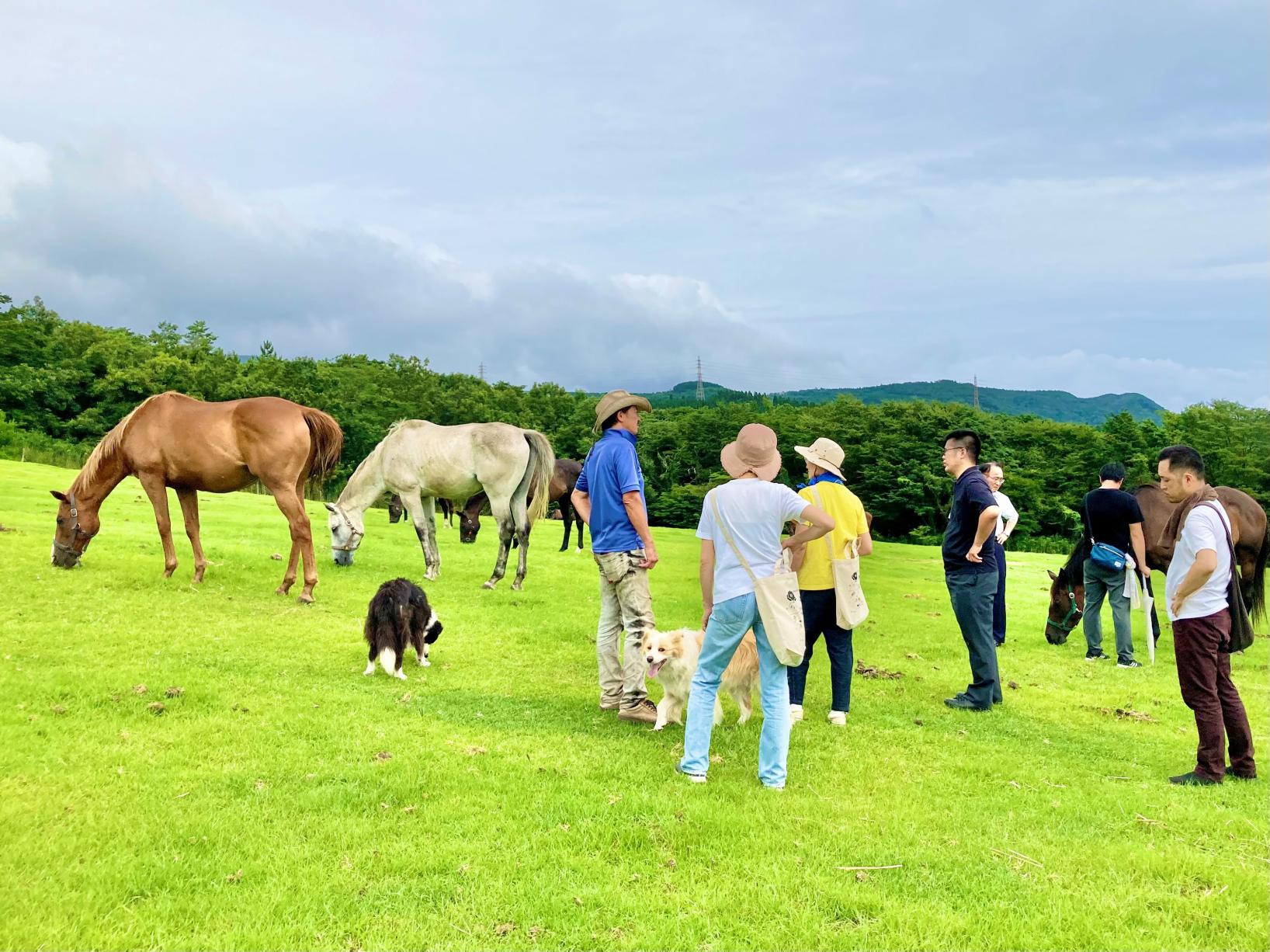 Horse Trust Well-being Experience-5