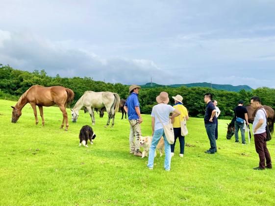 Horse Trust Well-being Experience-5